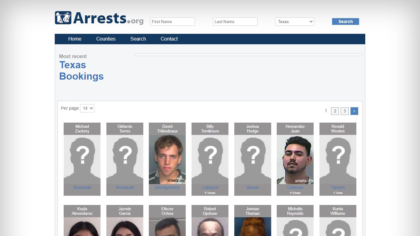 Texas Arrests and Inmate Search